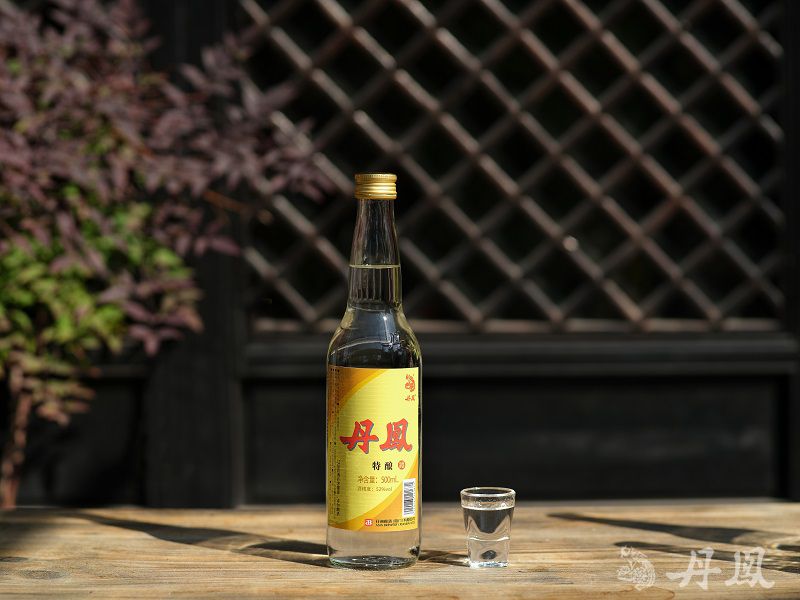 52°91视频下载网址特釀